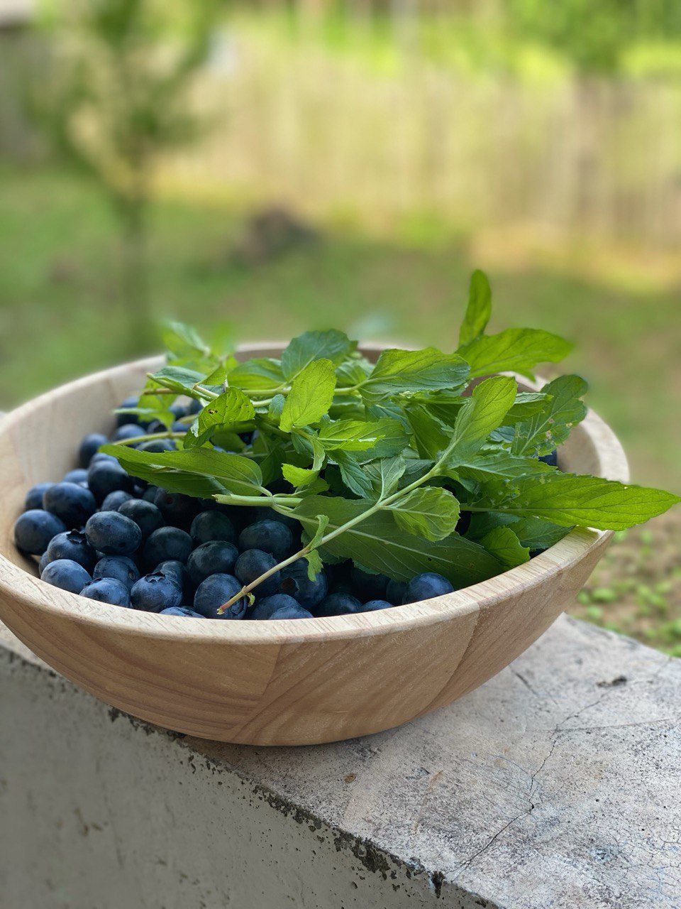Blueberries <br />in mint syrup