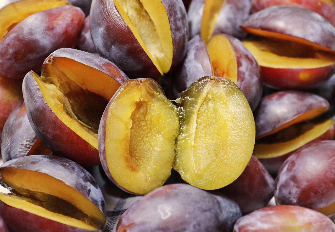 Dried plum