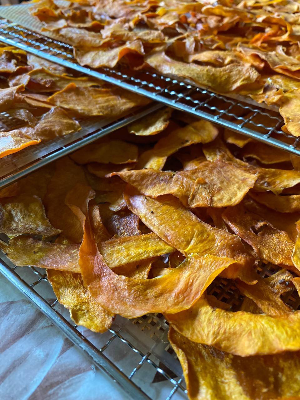 Pumpkin chips