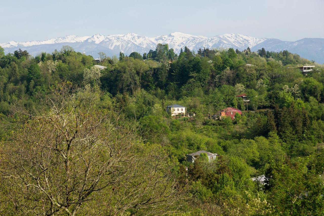 Lunch in the garden with SULI