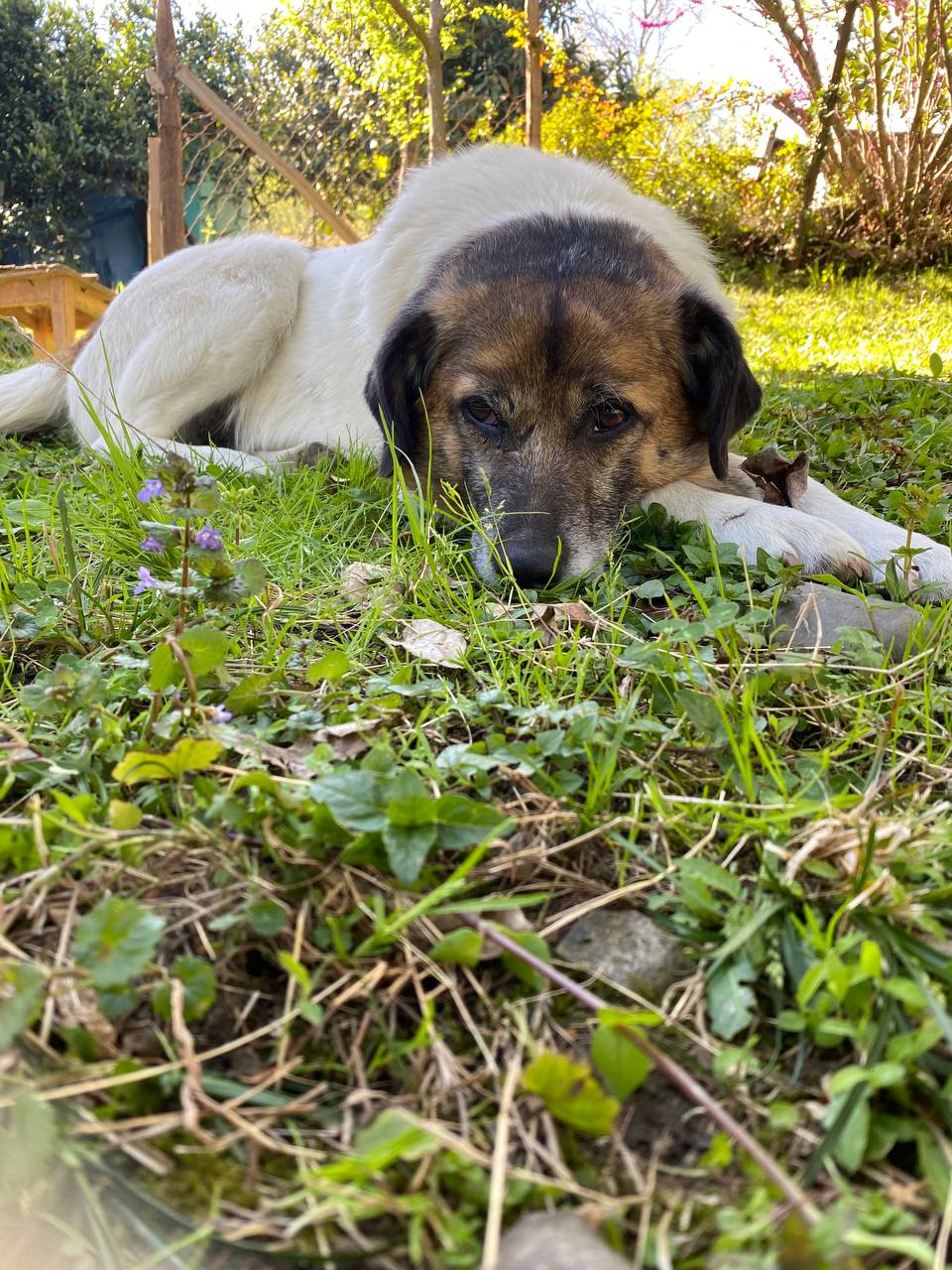 Lunch in the garden with SULI