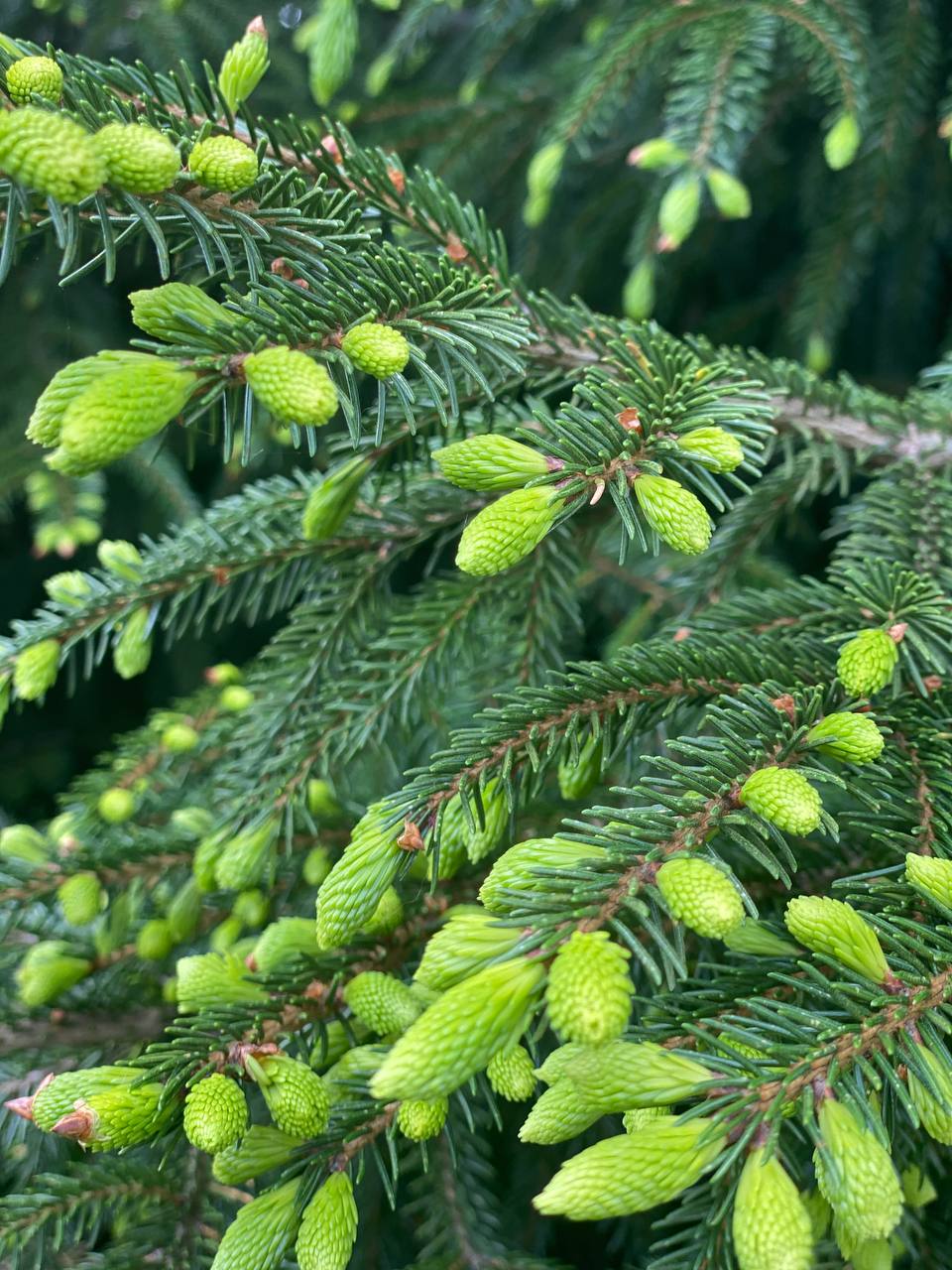 A day with the taste of SULI